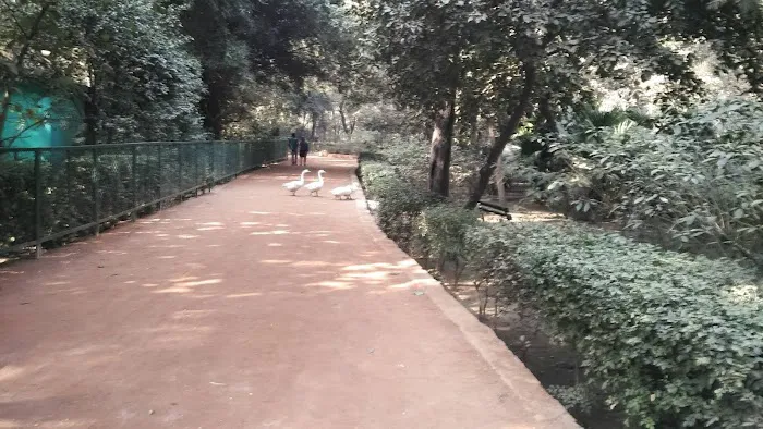 Sanjay Lake ENTERANCE Shasi Garden - 8
