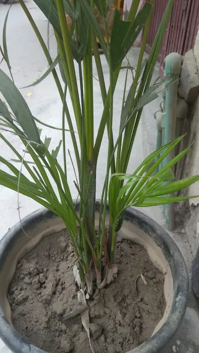 Urbanhorti - 0