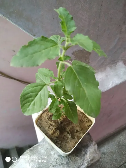 Urbanhorti - 3
