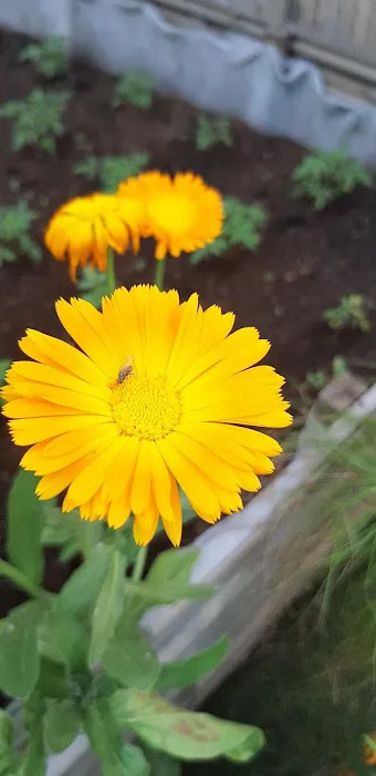 Urbanhorti - 6