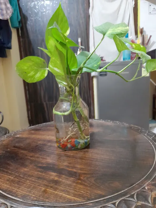 Urbanhorti - 9