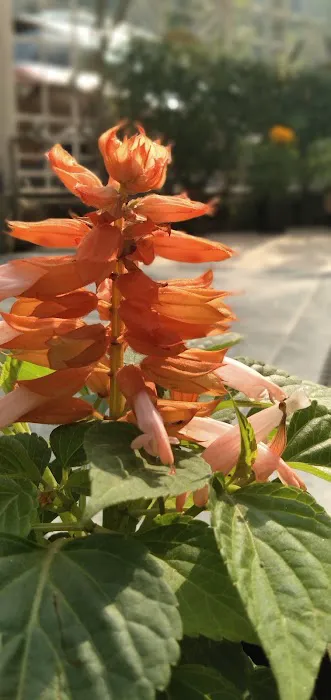 Radha Krishna Park - 2