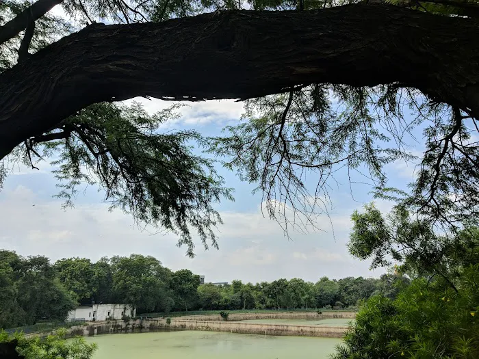 Bhooli Bhatyari Regional Park - 5