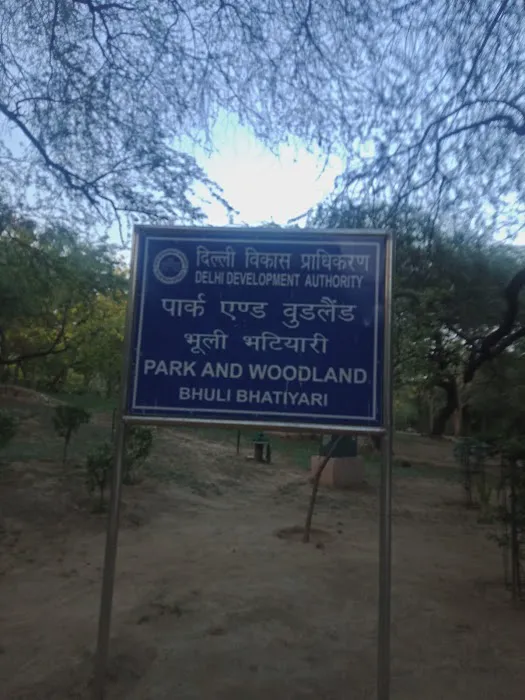 Bhooli Bhatyari Regional Park - 4