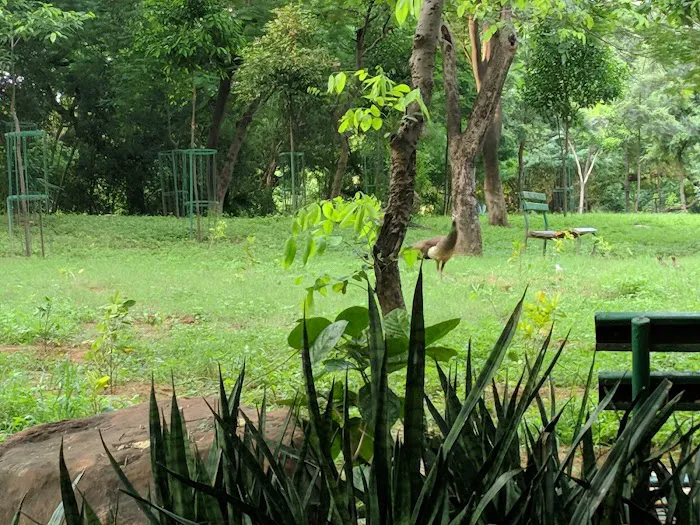 Bhooli Bhatyari Regional Park - 7