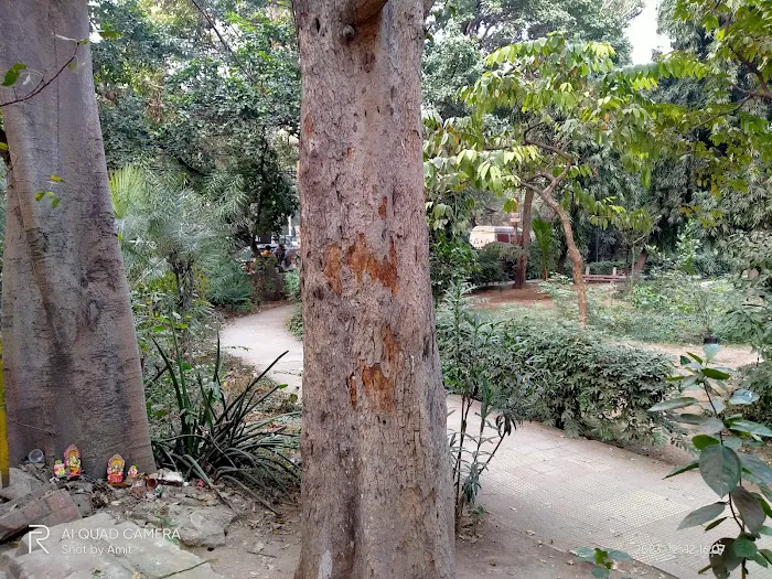 MCD Park - 5