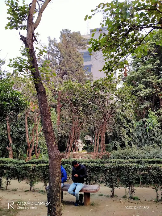 MCD Park - 8