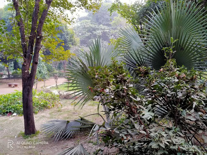Joggers Park - 1