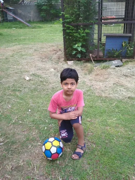 Gol Park - 0