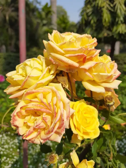 Sita Mata Park - 2