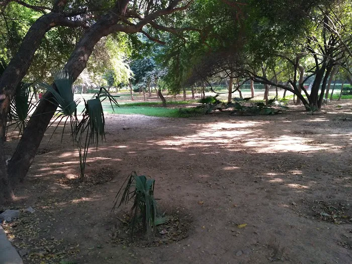 Sarvodaya Enclave Park - 3