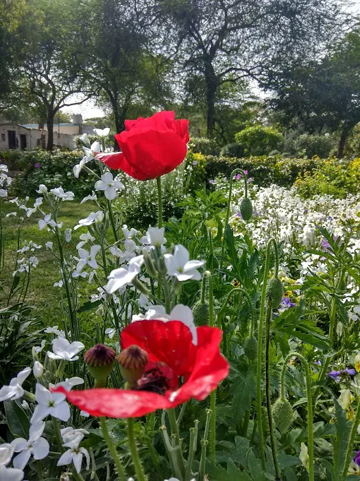 Sarvodaya Enclave Park - 7