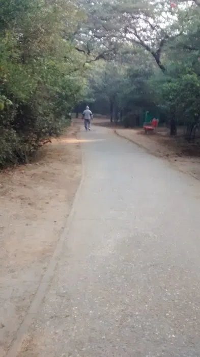 MCD Park - Guru Ravidas Marg - 3