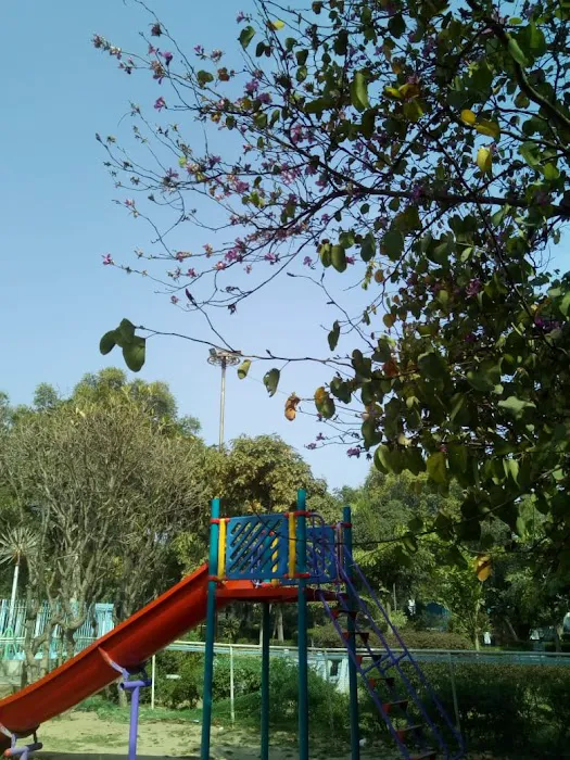 Nehru Park - 5