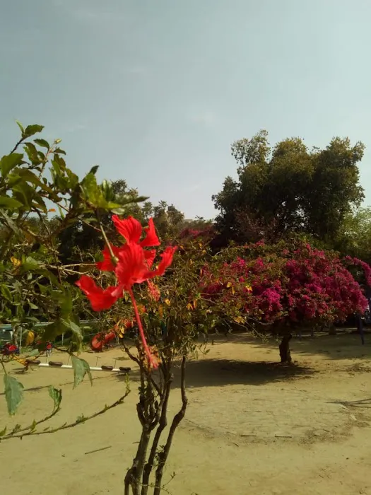 Nehru Park - 9