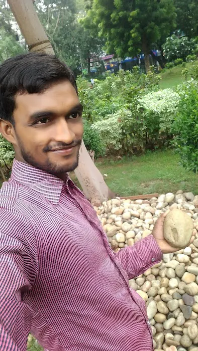 Rock Garden - 0