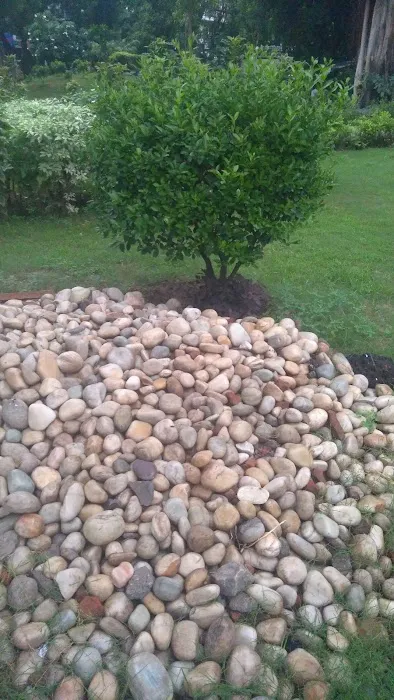Rock Garden - 2