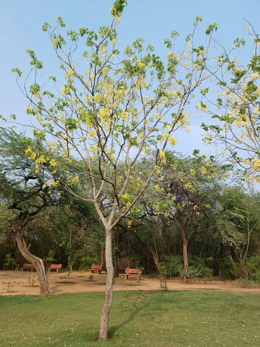 Jahapanah City Forest Entry Gate - 1