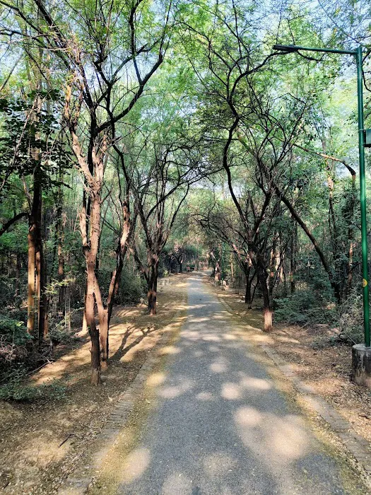 Jahapanah City Forest Entry Gate - 0