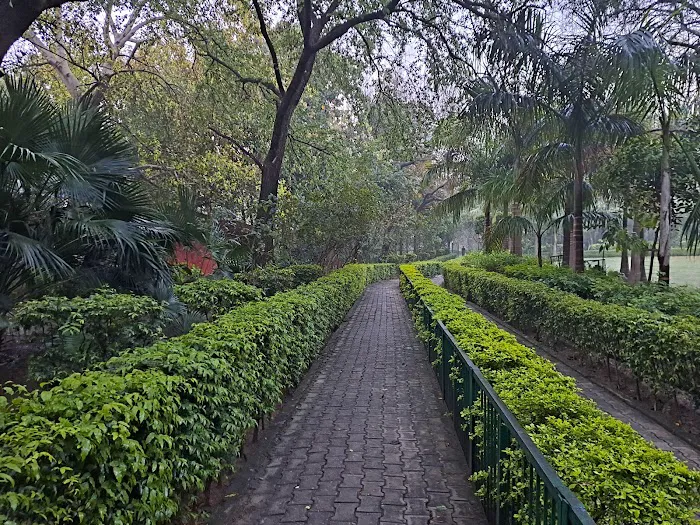 Jahapanah City Forest Entry Gate - 5