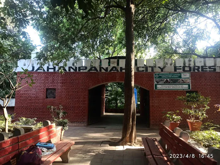 Jahapanah City Forest Entry Gate - 7