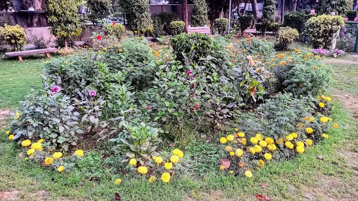 Malviya Nagar E- Block Park (iQBAL) - 3
