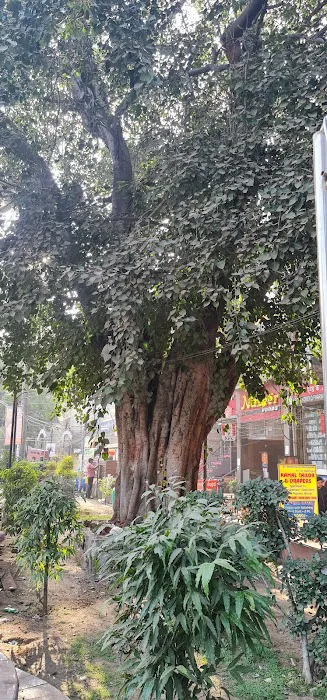 Malviya Nagar E- Block Park (iQBAL) - 8