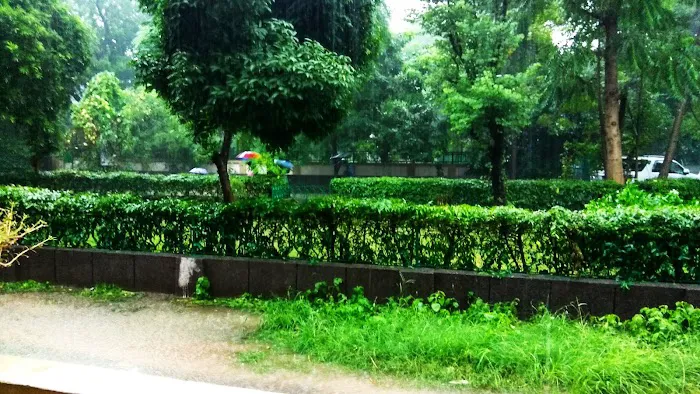 Small Park - 0