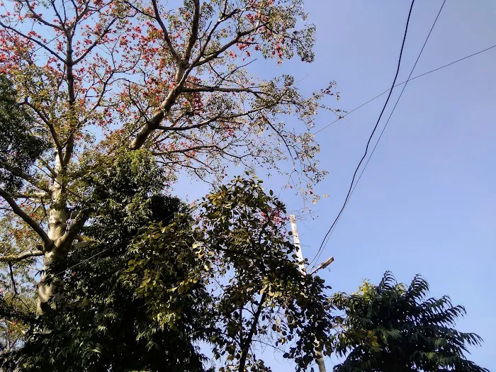 Square Park R K Puram Sector 3 - 6