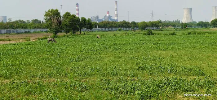 Ravidas park - 1