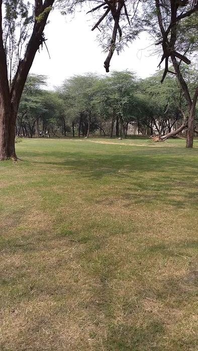 DDA & IIITD Park - 2
