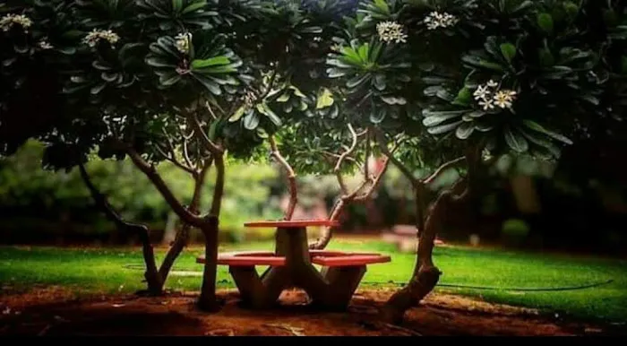 South Campus, Jamia Millia Islamia - 6