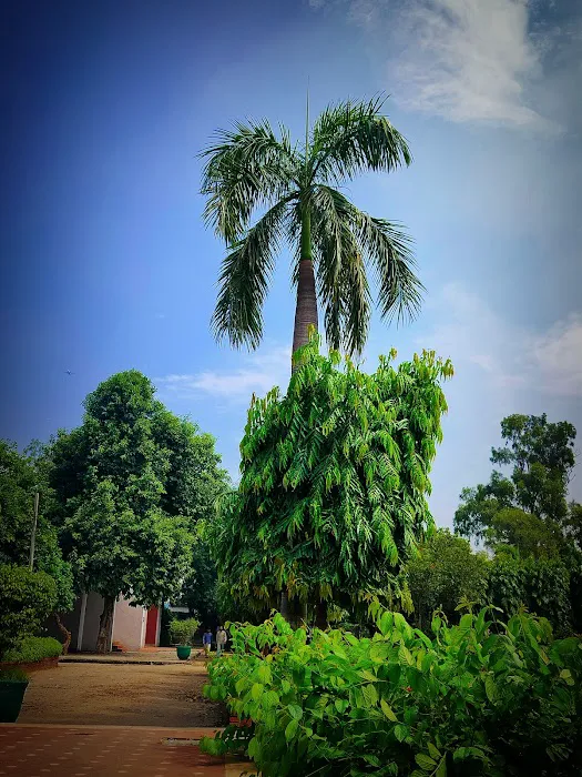 Mirza Ghalib Statue - 6