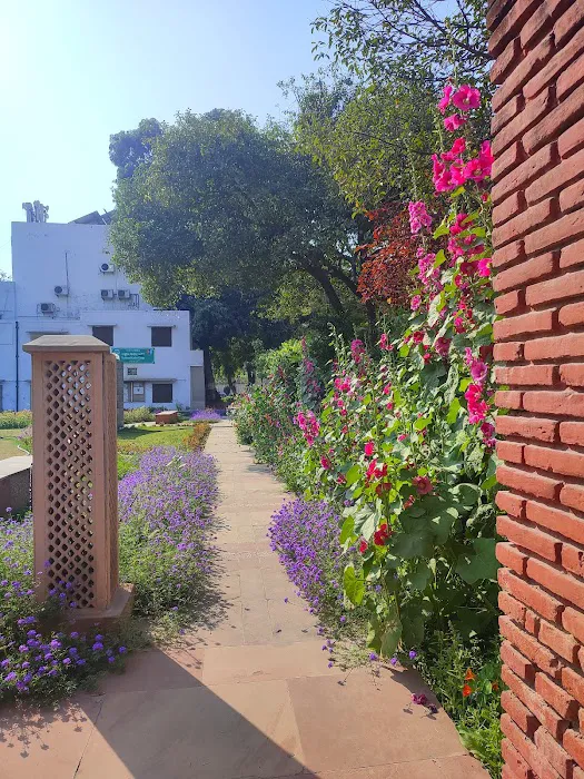 Sociology Lawn - 2