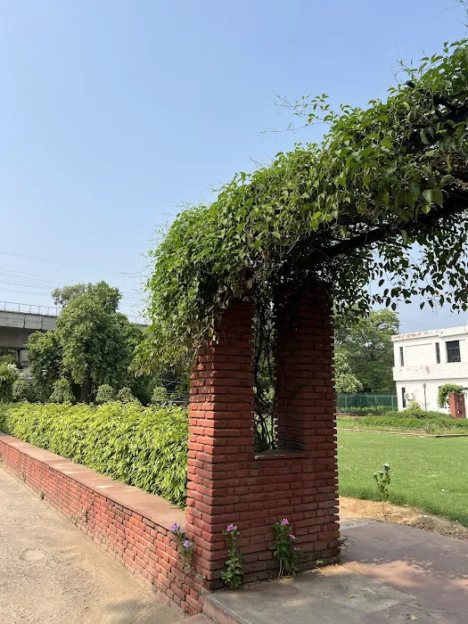 Sociology Lawn - 3