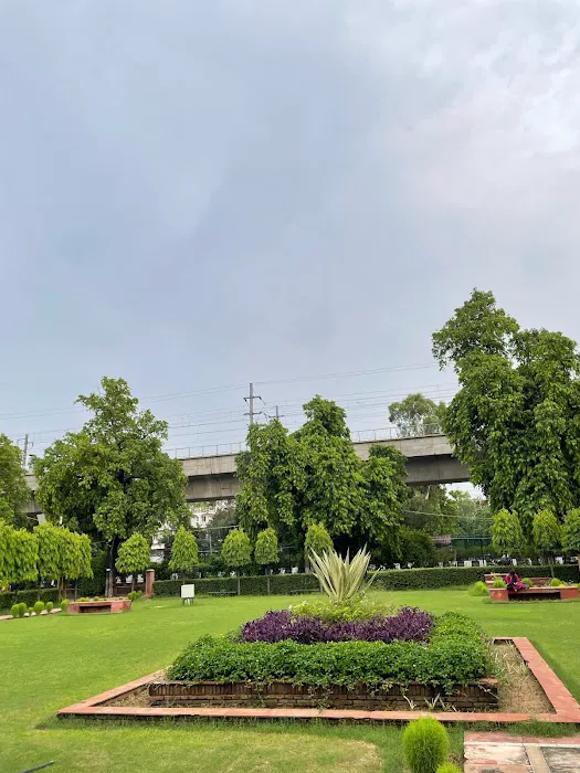 Sociology Lawn - 4