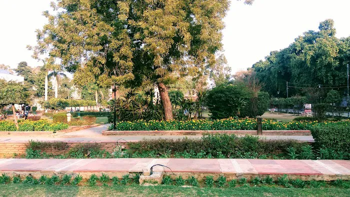 Sociology Lawn - 6