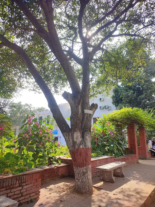 Sociology Lawn - 9