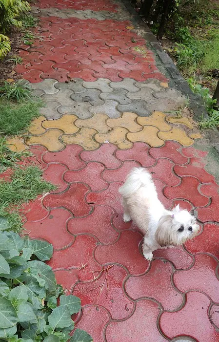Safdarjung Enclave, Block B2 Park - 6