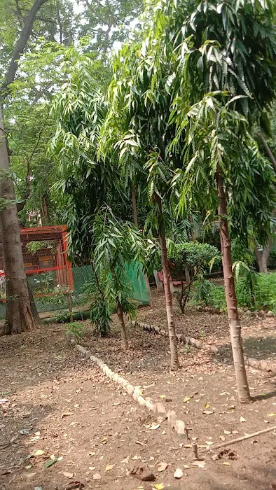 Saraswati Park D-Block - 3