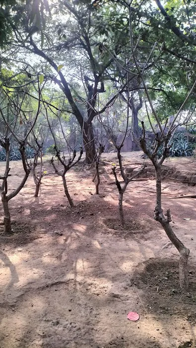 D block park - 3