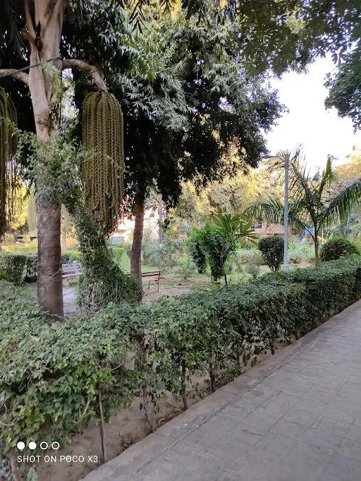 D block park - 8