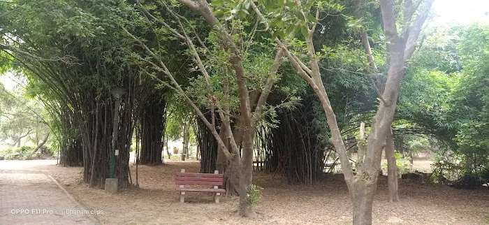 Bhagwan Mahavir Vanasthali Park - 3