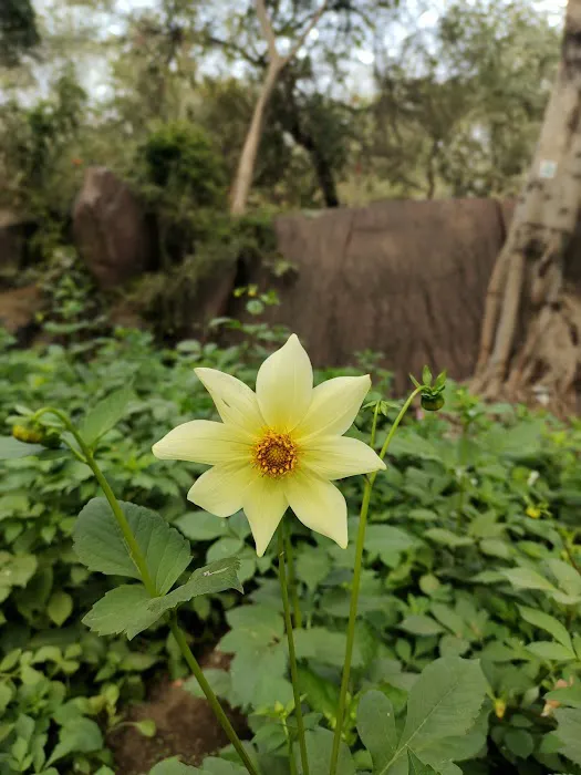 Asaf Ali Park - 6