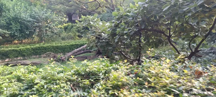 DDA R Block Park Greater Kailash 1 - 6