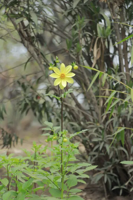 Gym Garden - 9