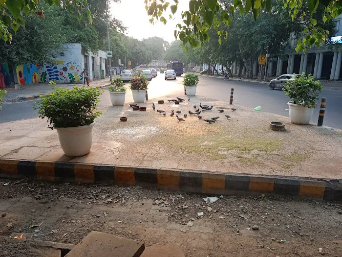 🕊️🕊️ Doves - 0