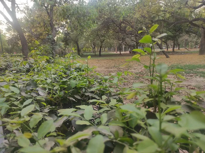 Begumpur Park - 1