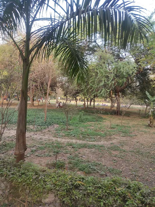 Begumpur Park - 5
