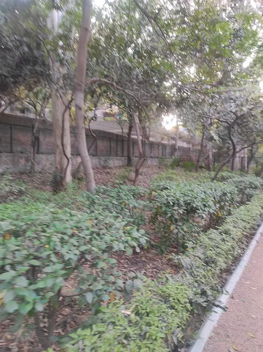 Begumpur Park - 7